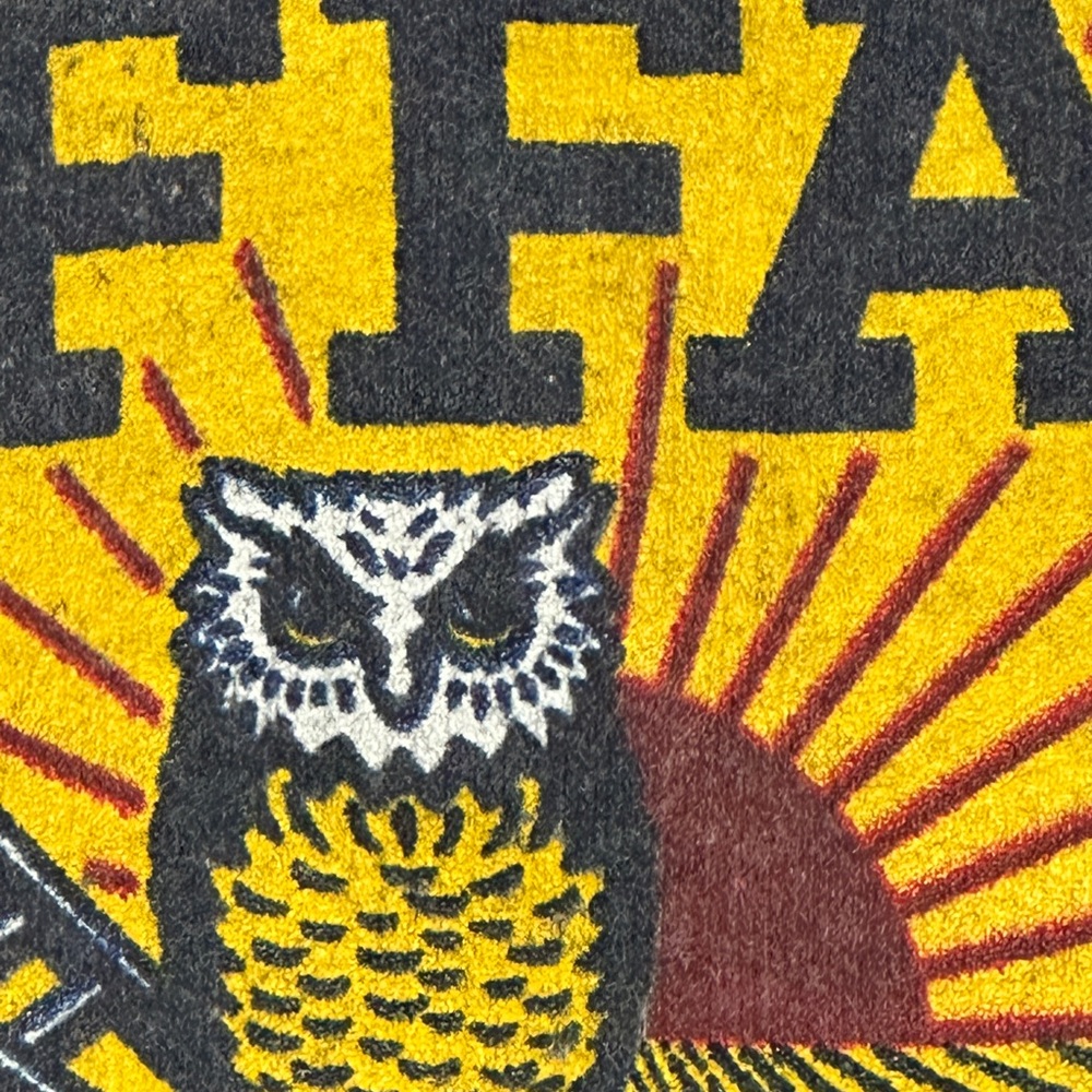 Y2K - Vintage FFA Crewneck Sweatshirt  - XL - Sport Agriculture Education - GUC - Picture 7 of 11